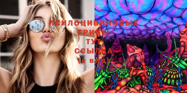 прущая мука Володарск